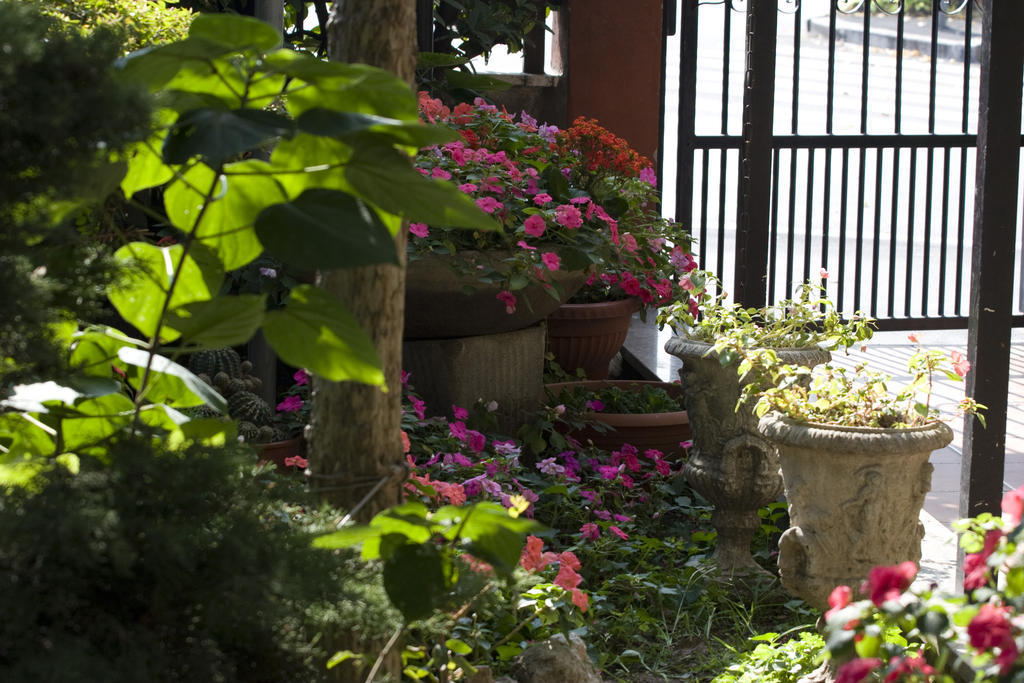 Hotel Renato Sesto San Giovanni Εξωτερικό φωτογραφία