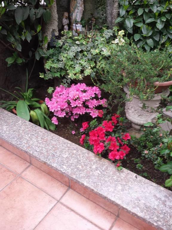 Hotel Renato Sesto San Giovanni Εξωτερικό φωτογραφία