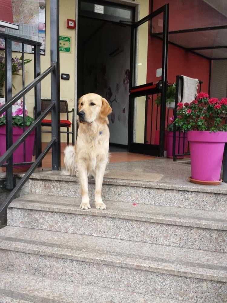 Hotel Renato Sesto San Giovanni Εξωτερικό φωτογραφία